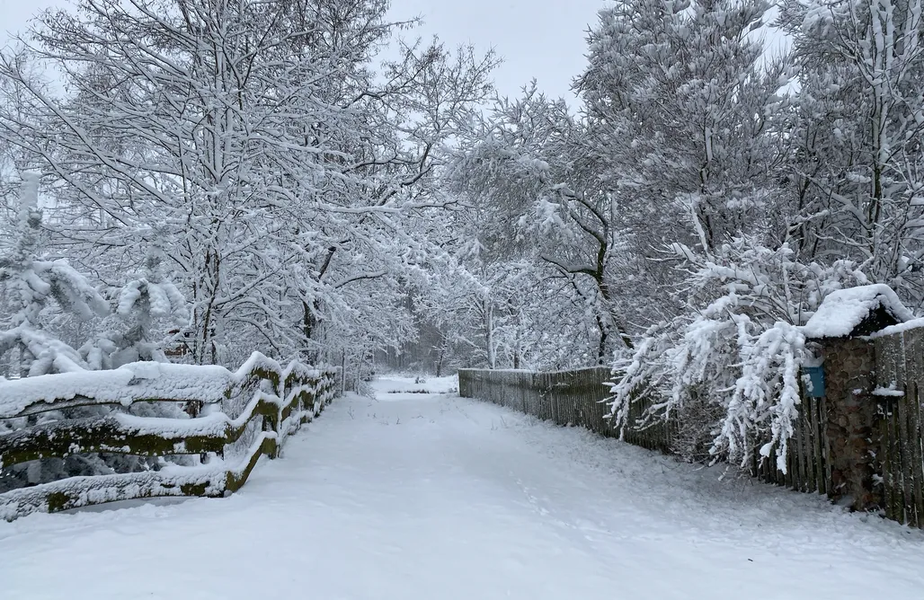 Unterkunft AlohaCamp Dom w Łęgu 1