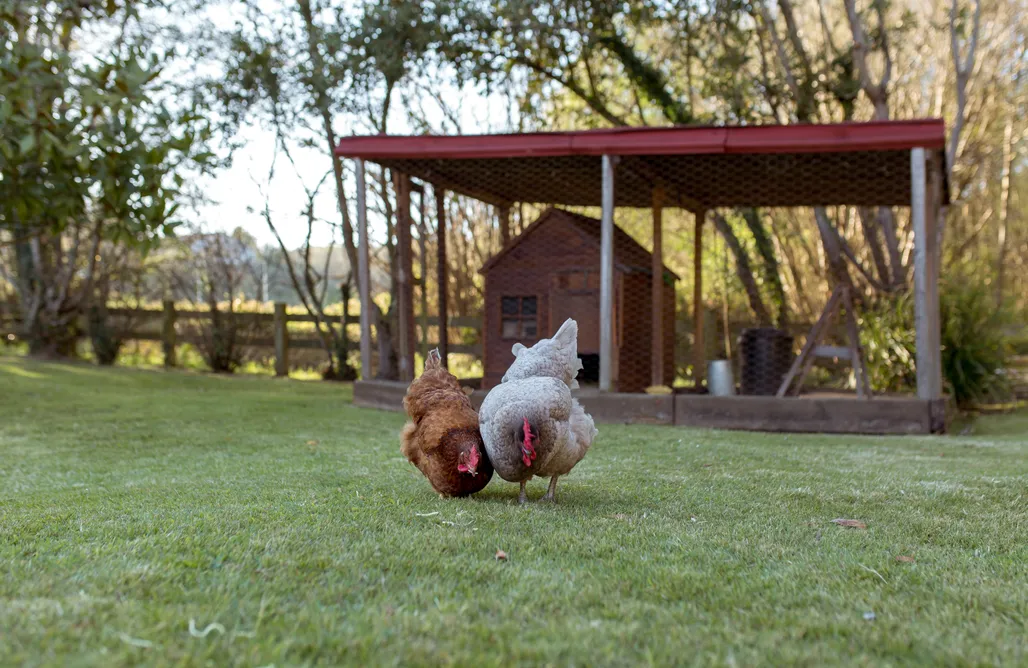 AlohaCamp El Molino 1