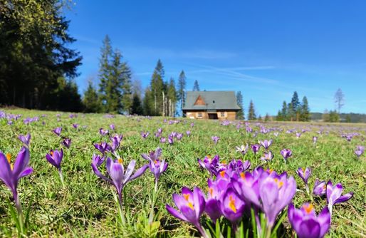 Zdjęcie obiektu Szałas na szlaku