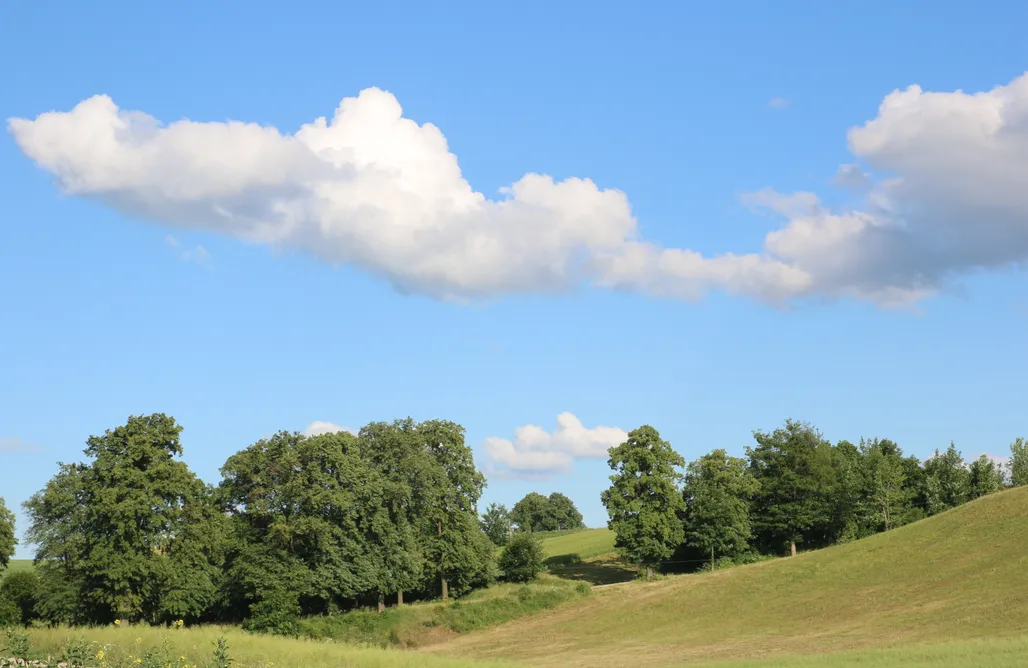 AlohaCamp Caly dom 1