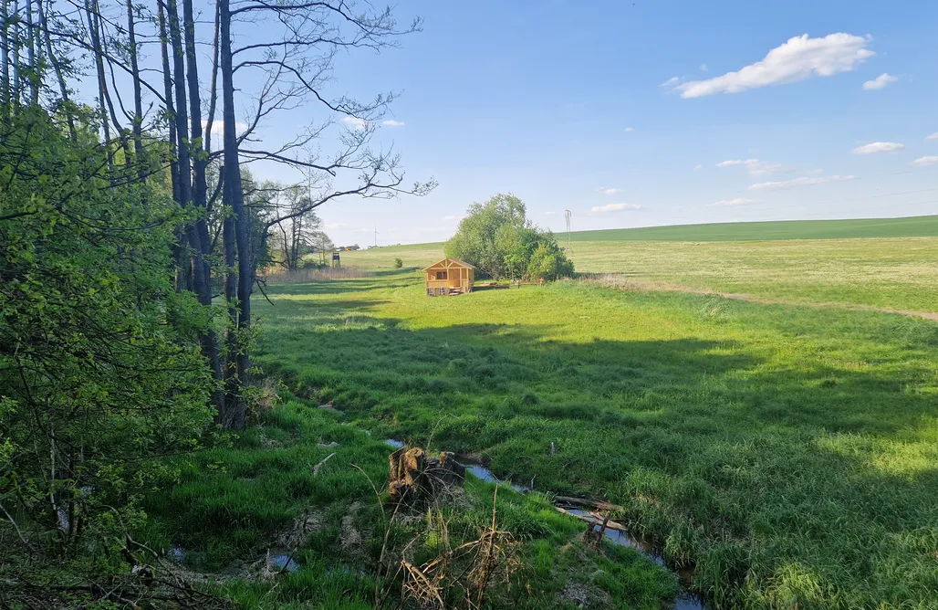 Pole Namiotowe Małopolska Miejsce pod namiot - Bobry Zagajnik 2