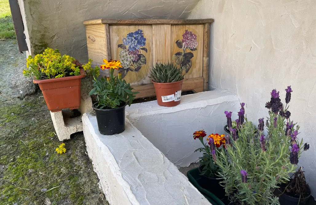 Alloggio AlohaCamp El Corralín 1