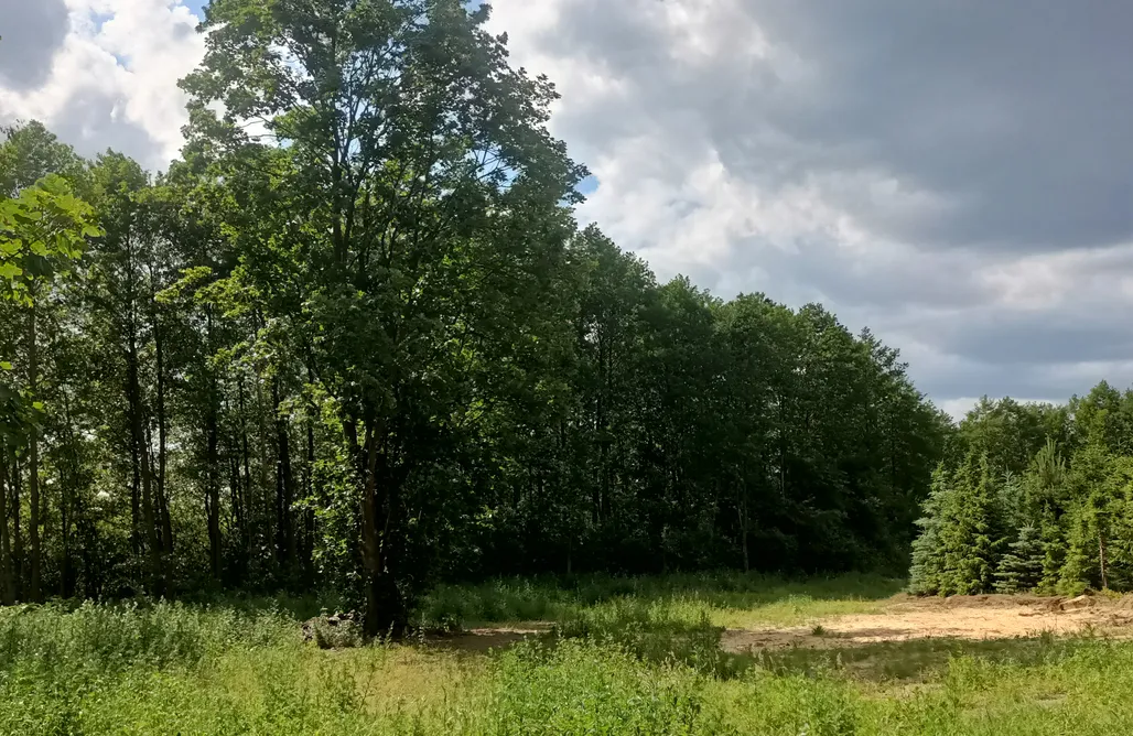 noclegi AlohaCamp Miejsce kamperowe - Klonowa Przystań  4