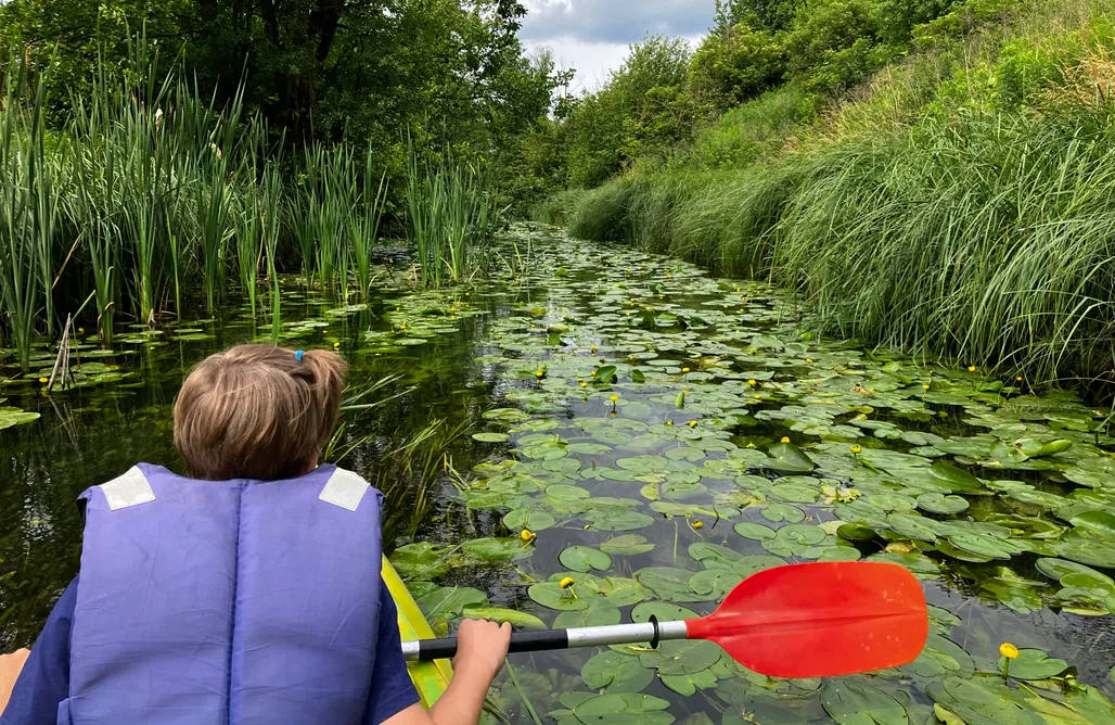 AlohaCamp Miejsce namiotowe 2 osobowe 1