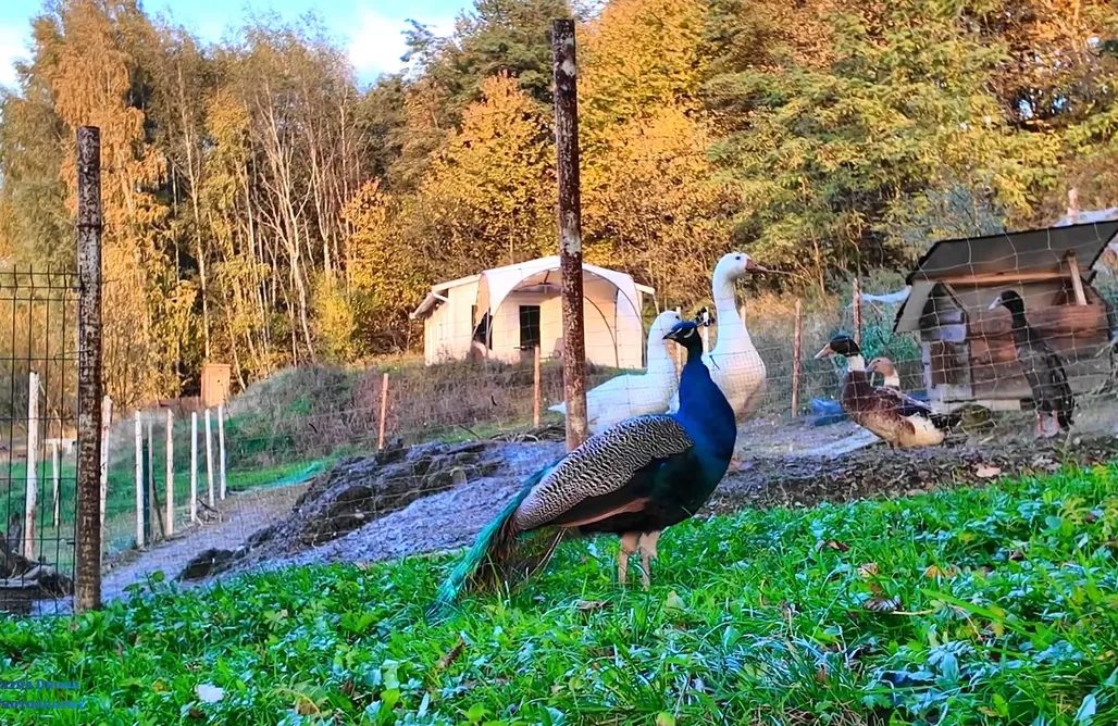 noclegi AlohaCamp Dolina Jamcito 5