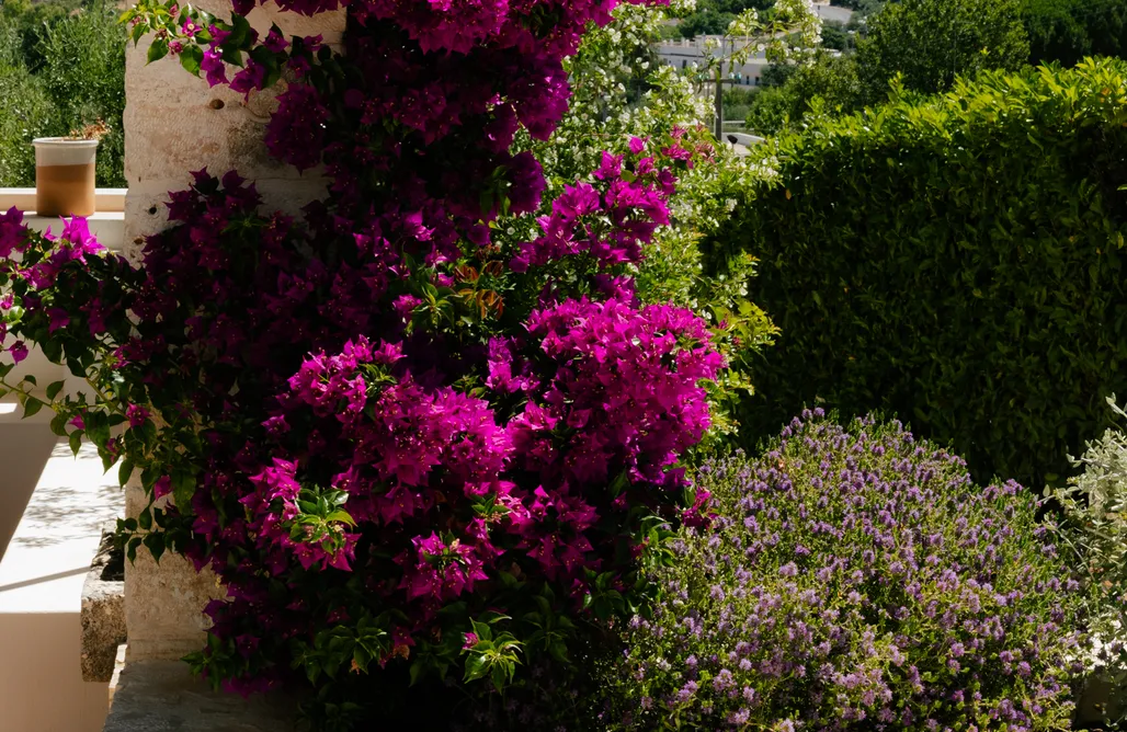 Alloggi AlohaCamp Trullo Monte Olimpo 5 5