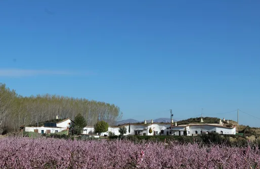 Imagen de Cuevas Hamman Abuelo José