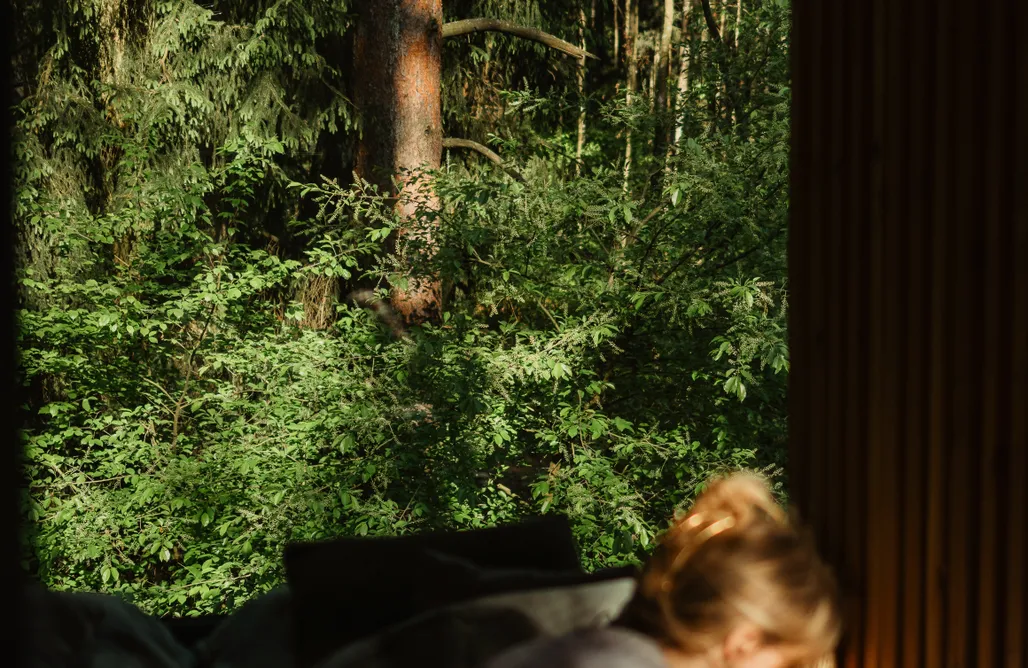 AlohaCamp Domek na drzewie Kryjówka  4