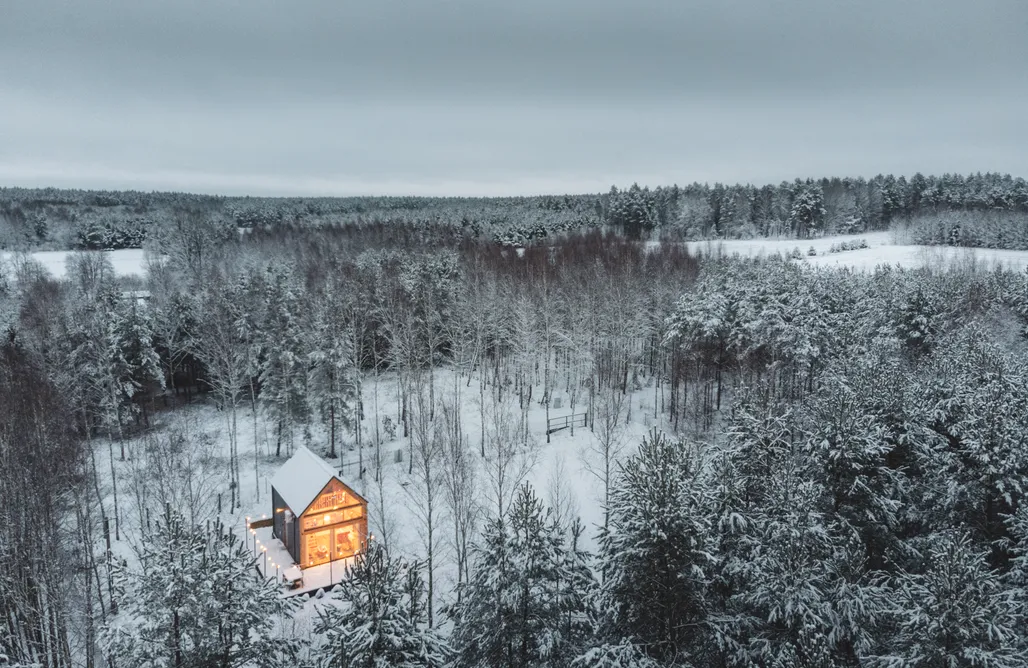AlohaCamp Miło las widzieć 2