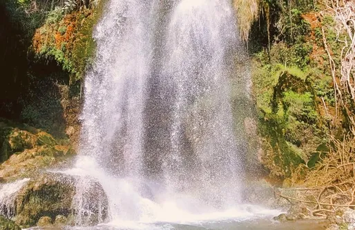 Imagen de In the Pines - caravana