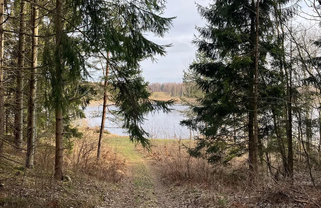 Winiec noclegi Sauerwald Drugi 1