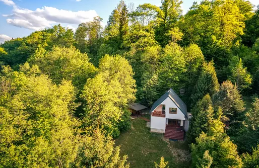 Zdjęcie obiektu Leśny Azyl
