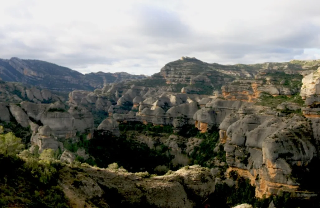 alojamientos AlohaCamp Glamping en Tarragona 1