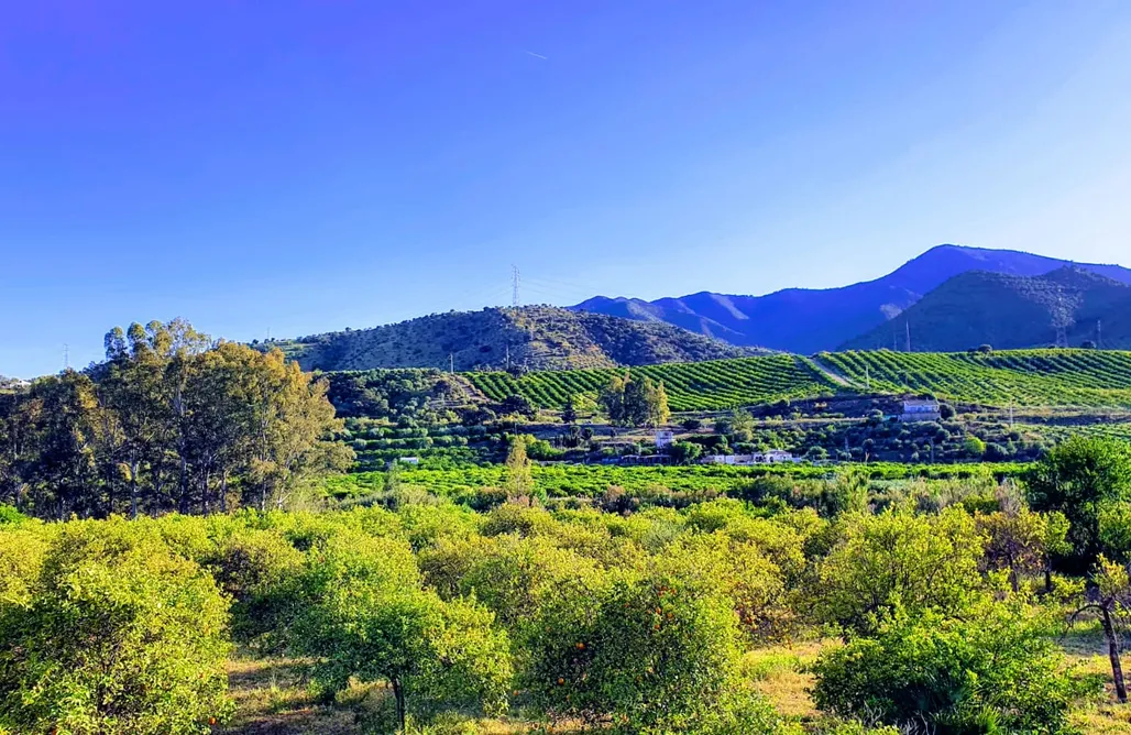 alojamientos AlohaCamp La Estación del Amor: Casa Kapurthala with views and a private pool 1