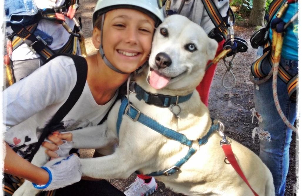 AlohaCamp Dom z Widokiem 1