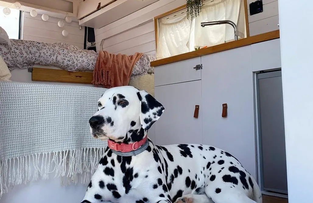 AlohaCamp Camper van Original Experience 3