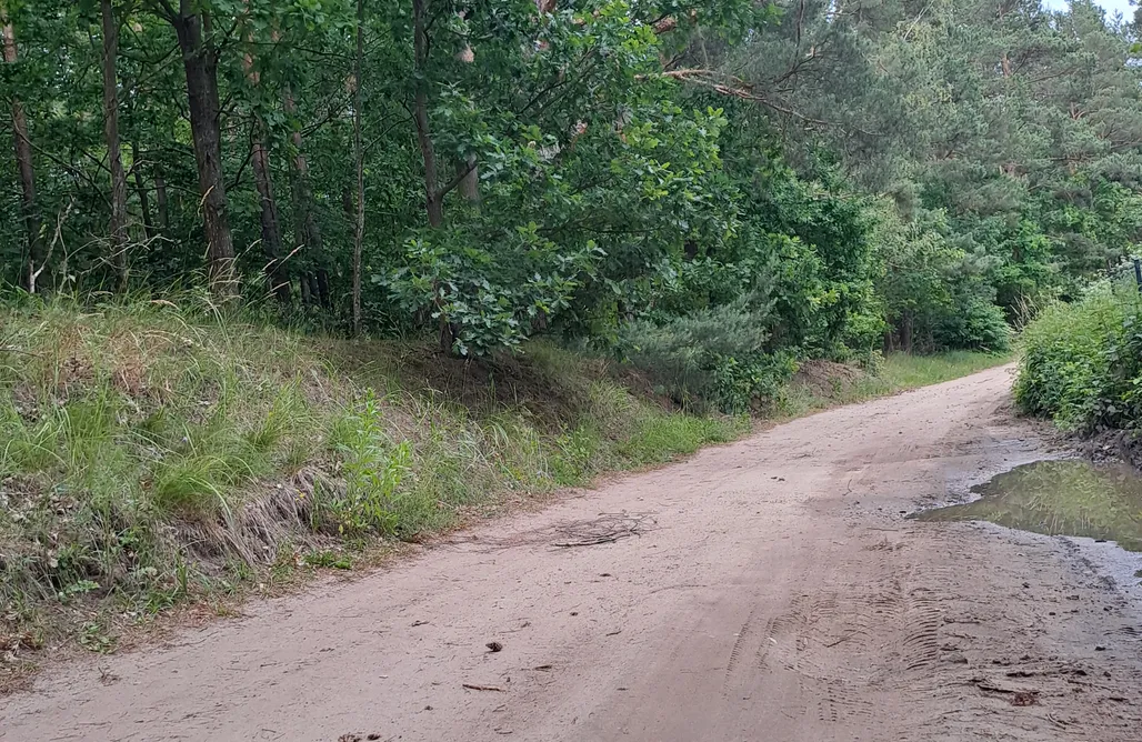 noclegi AlohaCamp Wankuwer 1