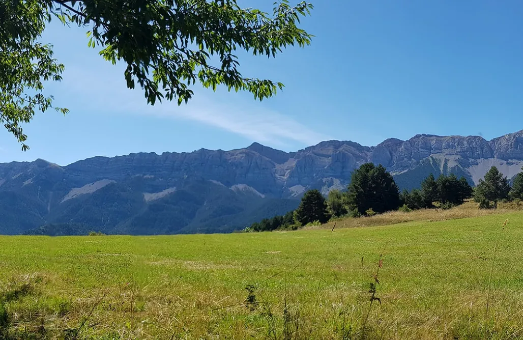 AlohaCamp Chalet en la montaña 1