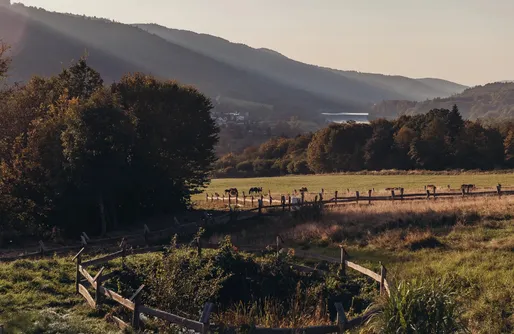 Zdjęcie obiektu Domek z widokiem na jezioro