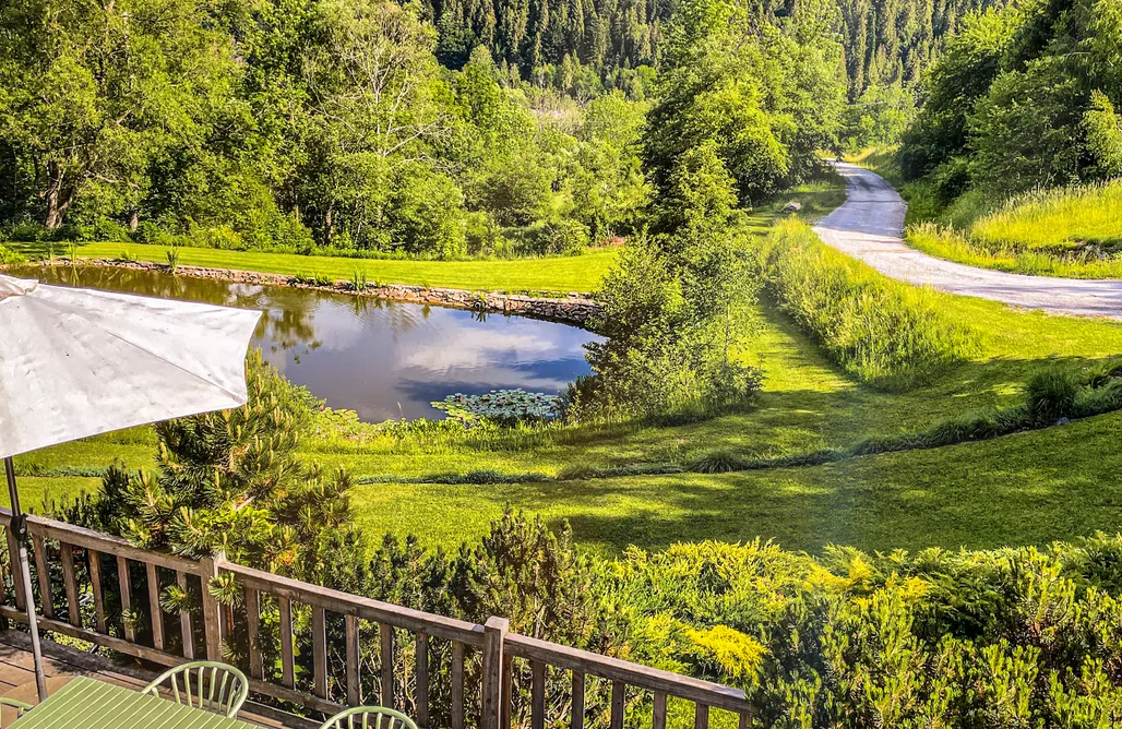 AlohaCamp Leśne uroczysko 1