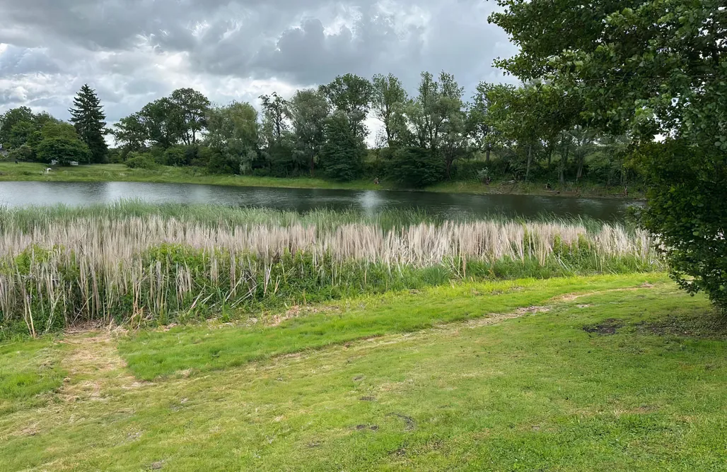 noclegi AlohaCamp Vistalake  4