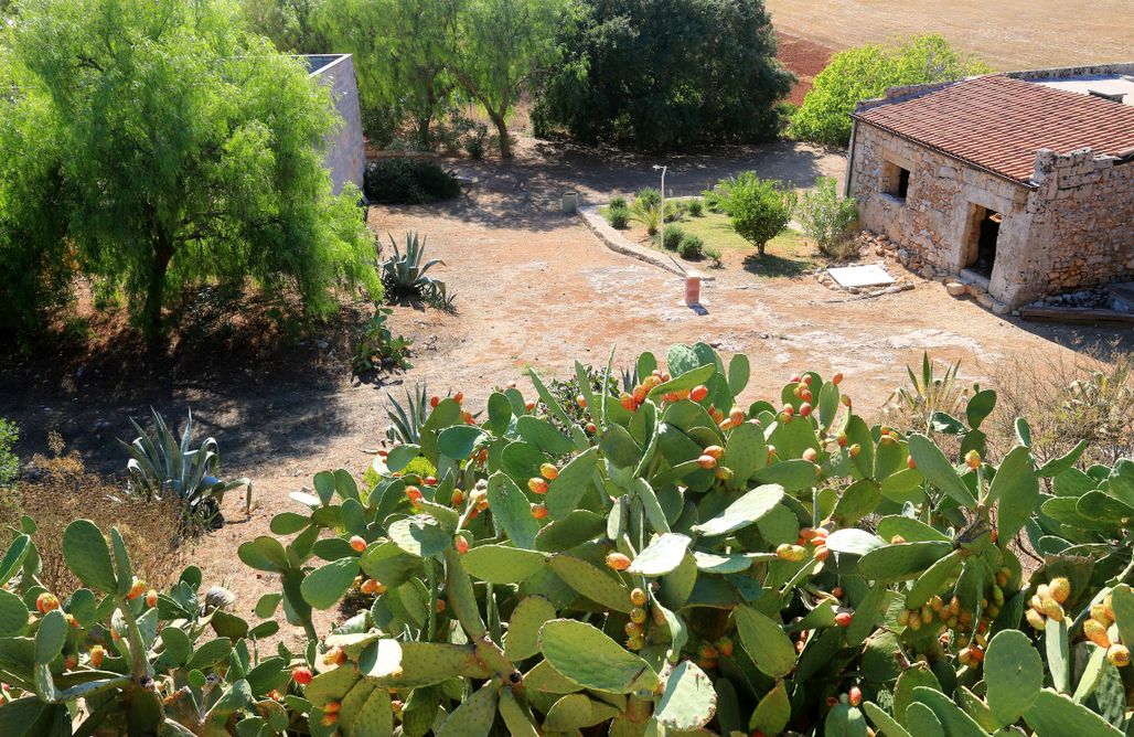 AlohaCamp Junior Suite Matrimoniale n. 5 1