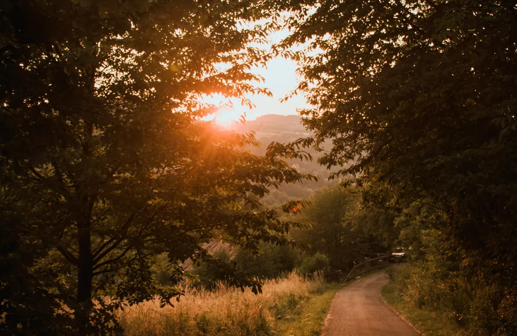 AlohaCamp Pole biwakowe Na wzgórzu 1