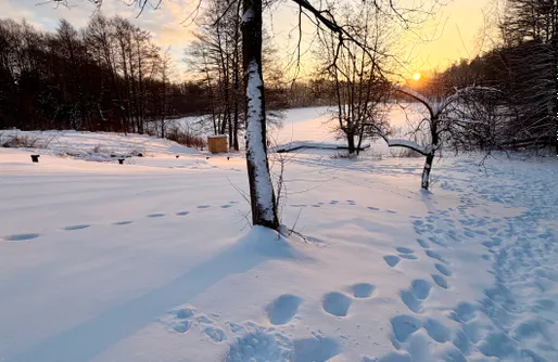 Zdjęcie obiektu Rezerwat