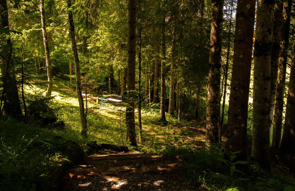 AlohaCamp accommodation Ferienhaus Schetteregg 5