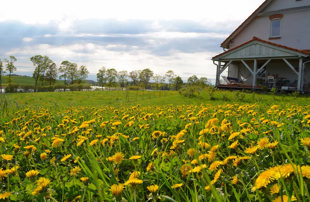 Agroturystyka Warmia Fajne Miejsce  3