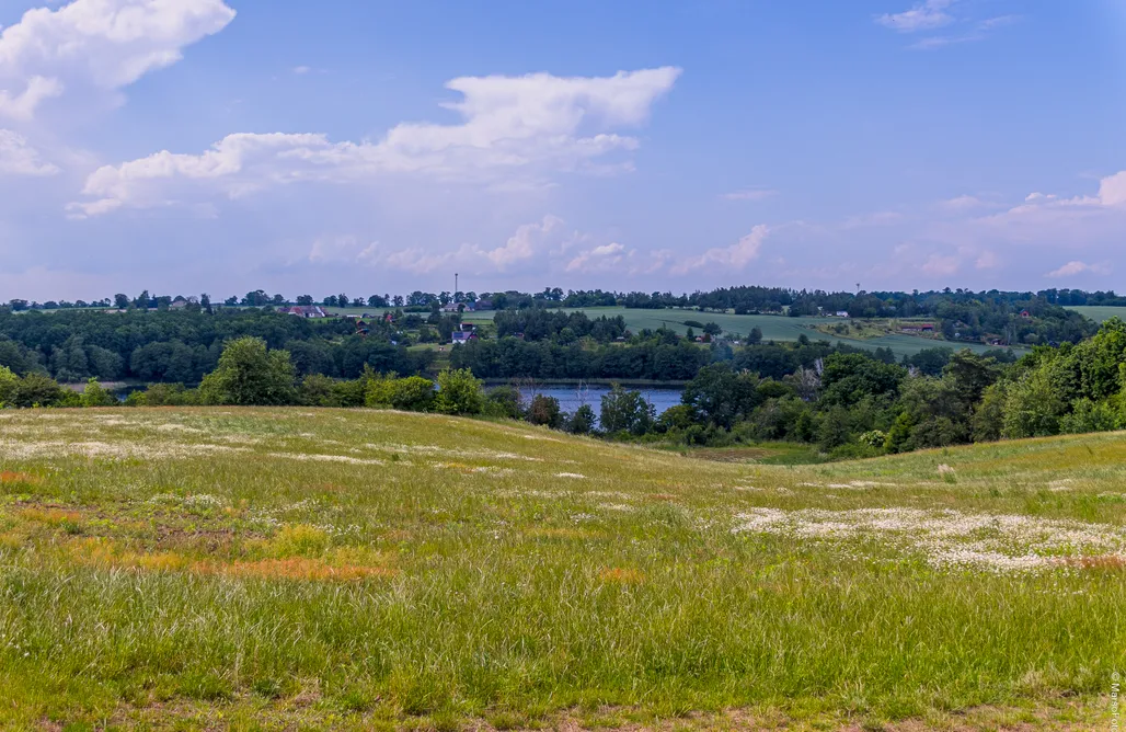 AlohaCamp Winnica Pod Jabłonią 2