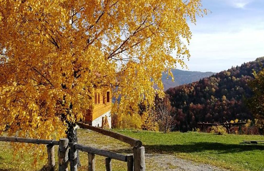 AlohaCamp Gorcowa Hala 1