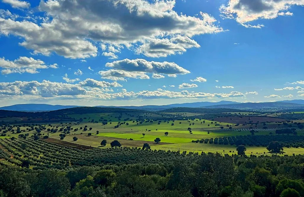 Alojamiento en Villa Del Rio Casa rural la Morera 3