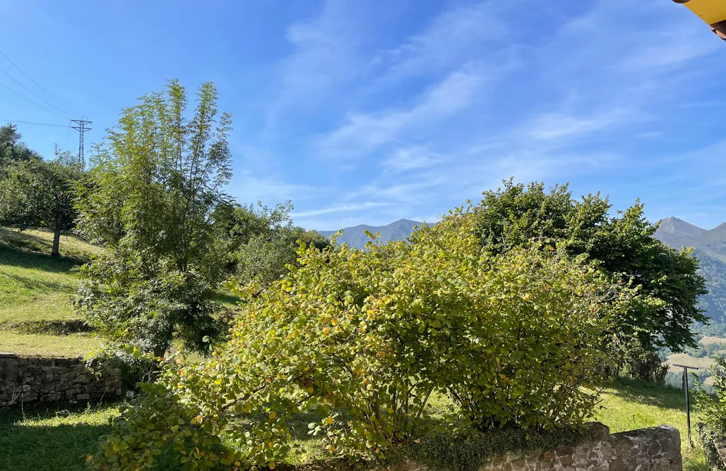 Unterkunft AlohaCamp Casa El Rojo 5