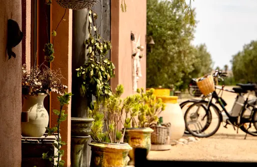 Imagen de Finca ¨La Oliva¨