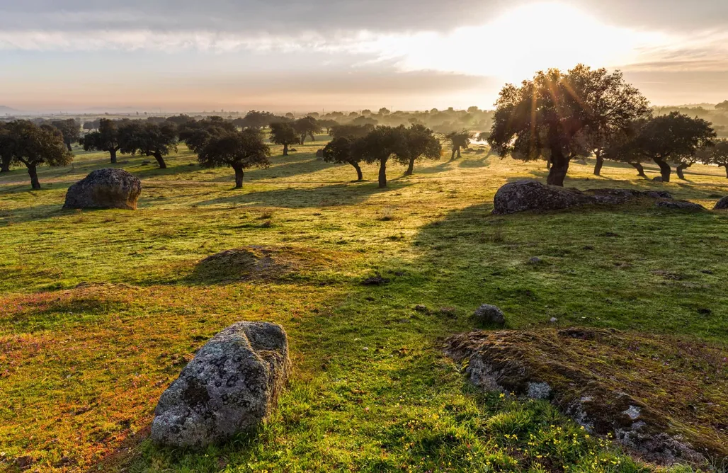 alojamientos AlohaCamp La Casita Agroturismo Dehesa la Pared 4