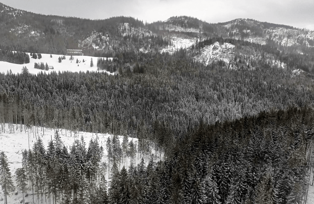 AlohaCamp Stodoła nad Doliną 1