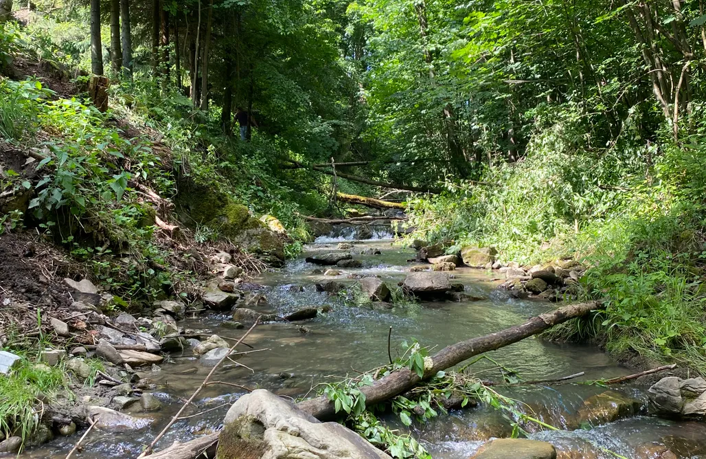 Zaćmienie Słońca 2026 ☀️ Apartamenty Przy Strumyku 3