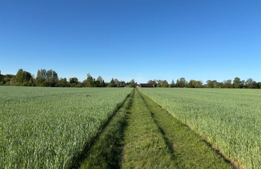 alojamientos AlohaCamp Dla mnie się podoba 1