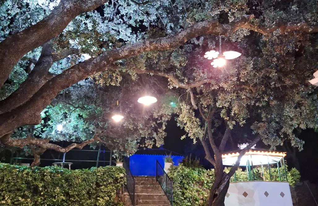 AlohaCamp accommodation Cerro De La Cruz  1