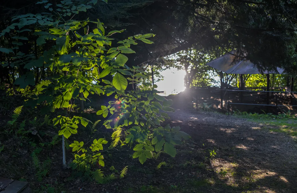 Wisła Noclegi z Wyżywieniem Aura Camp - glamping, dostęp do jeziora, sauna, natura 1