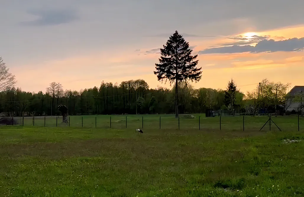 noclegi AlohaCamp Nowoczesna Sielana  5