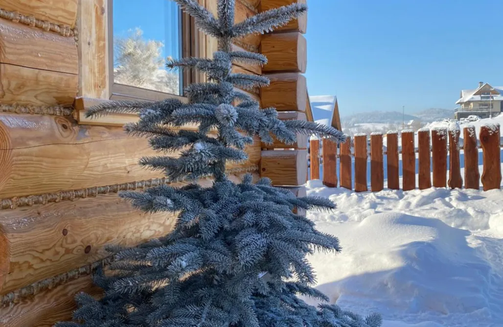 noclegi AlohaCamp Górskie Domki z Bali i Jacuzzi 1