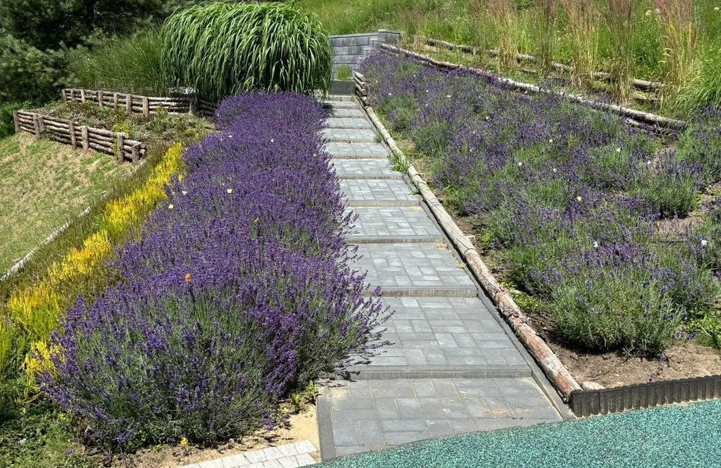 Brzozie Domki Familijny domek nad jeziorem 1