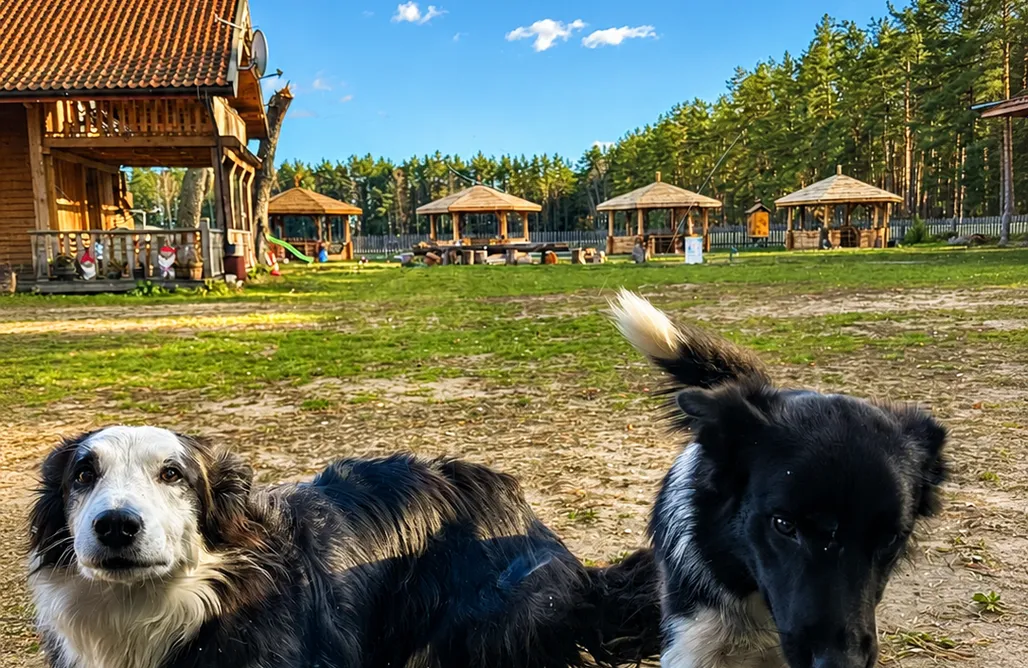 AlohaCamp Pokój 4-osobowy (6,7,8) 1