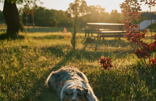 Zdjęcie obiektu Dom Wczasowy Błogo