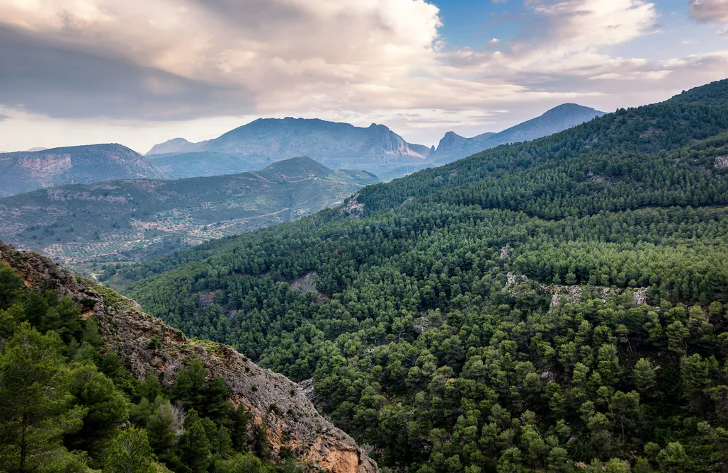 alojamientos AlohaCamp MalagaSuite Alojamiento Rural Alcaucin 5