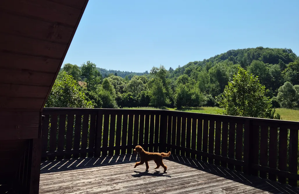 Agroturystyka Kielce Wilcza Dolina  3