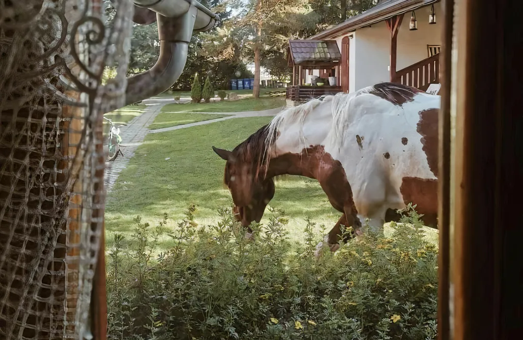 alojamientos AlohaCamp Jaśminowe Wzgórze 4