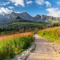 Teresa gospodarz Apartamenty Rozeta Poronin